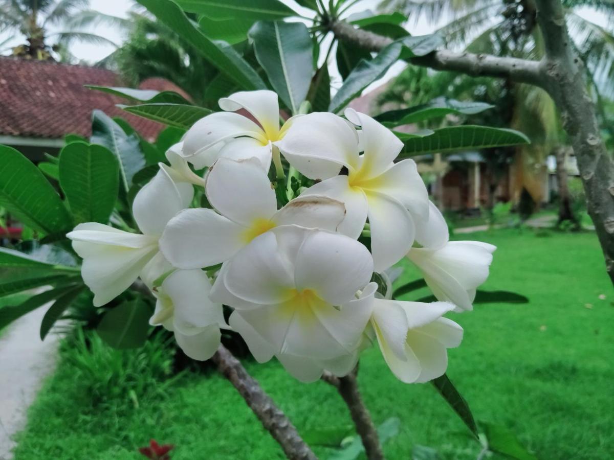 Mengalung Kuta (Lombok)
