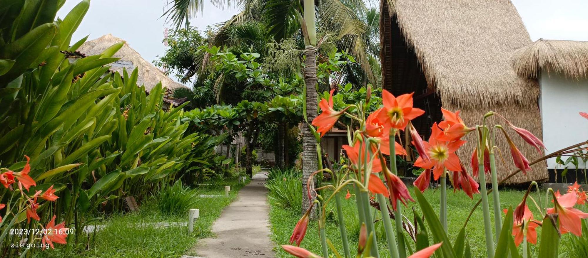 Mengalung * Kuta (Lombok)