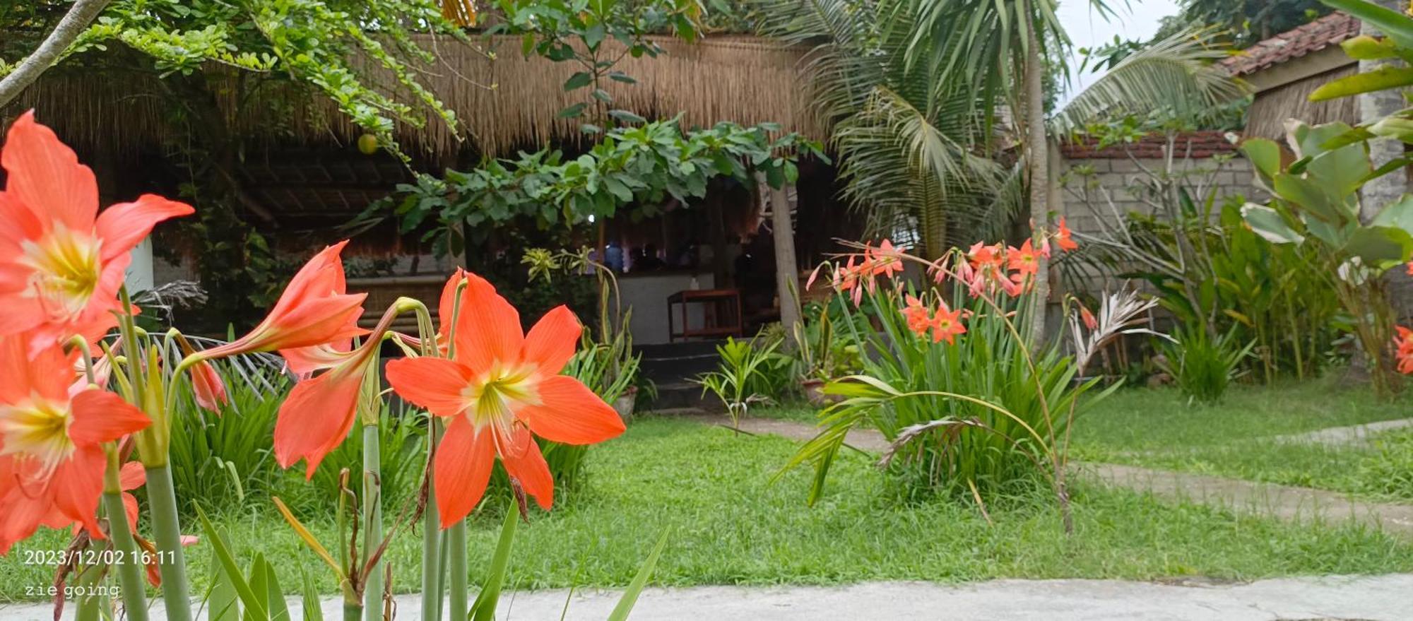 Homestay Mengalung Kuta (Lombok)
