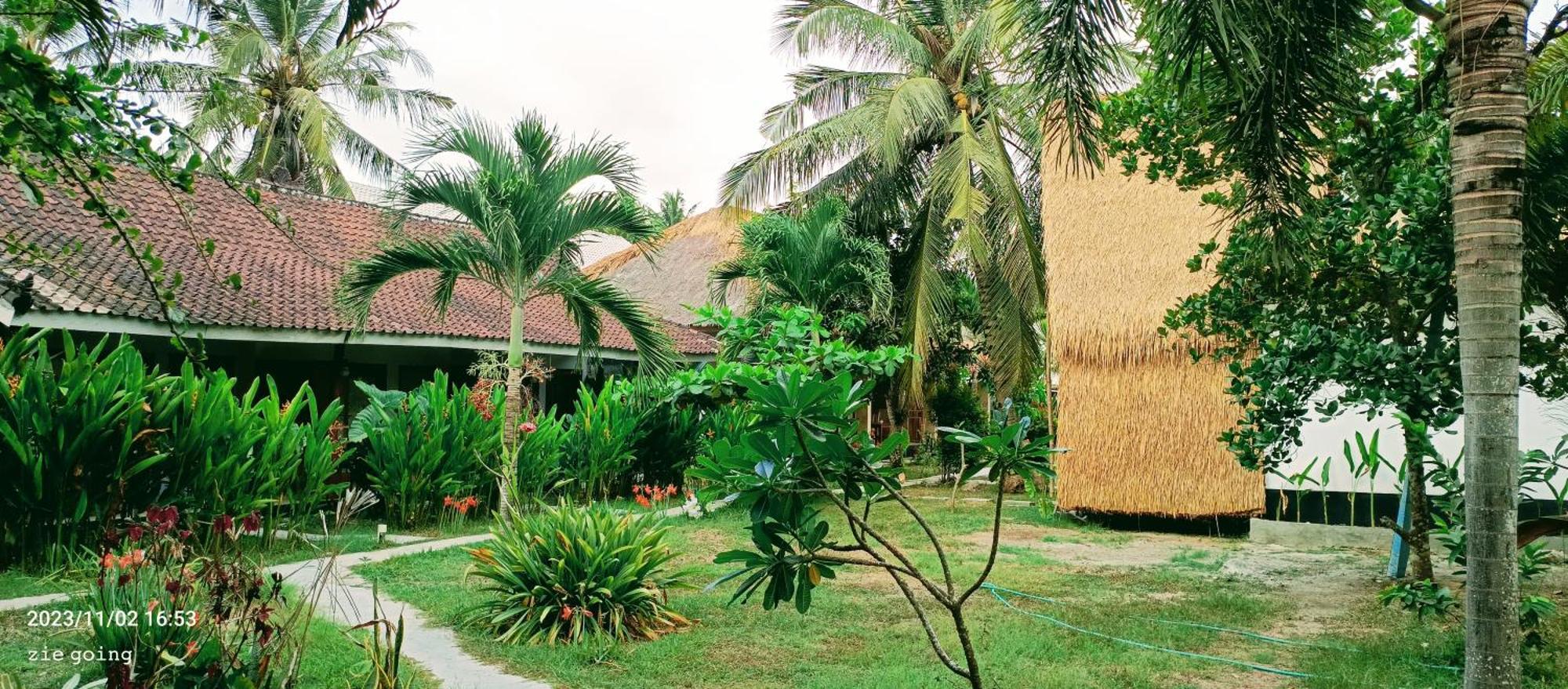Homestay Mengalung Kuta (Lombok)